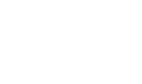 3D BOSS