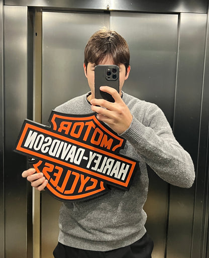 Insegna luminosa Harley Davidson